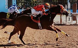 Jockey Christian Ramos boots Fs Power Maxx home in a $39,500 Allowance at Zia Park.