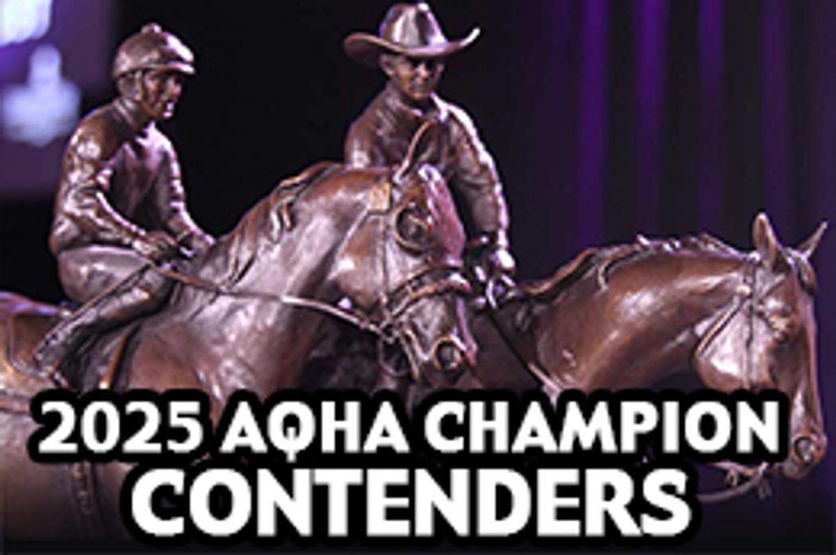 AQHA