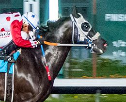 Los Alamitos
