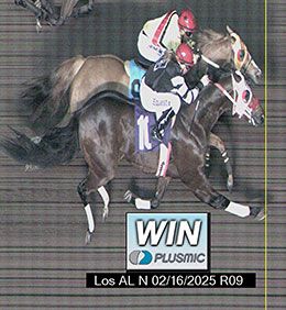 The official win photo of the Winter Championship shows Unrelentless' (#10) razor-thin margin over London Toby (#9).