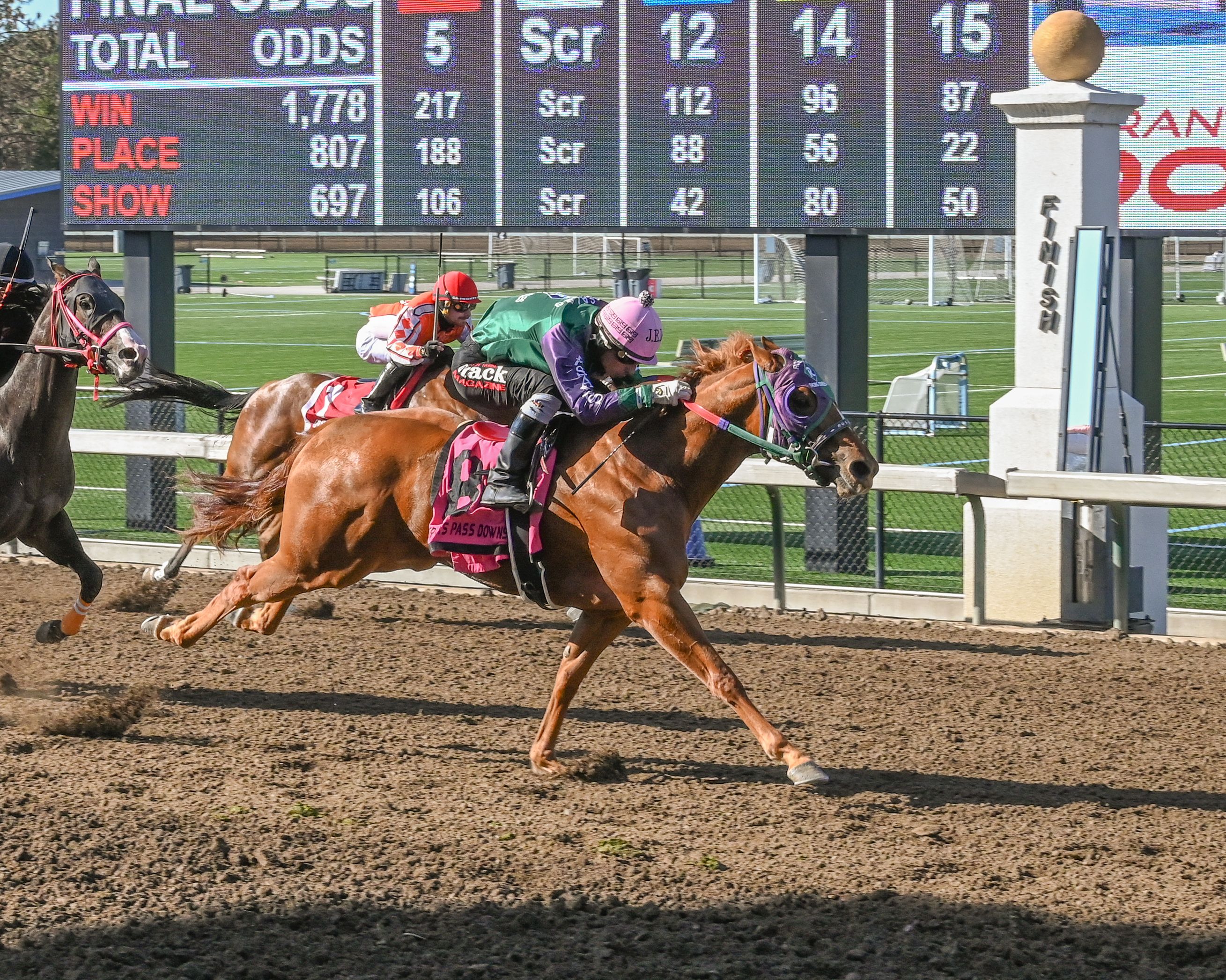 Miss Royal Hawk Tops Far West Futurity Trials at Grants Pass