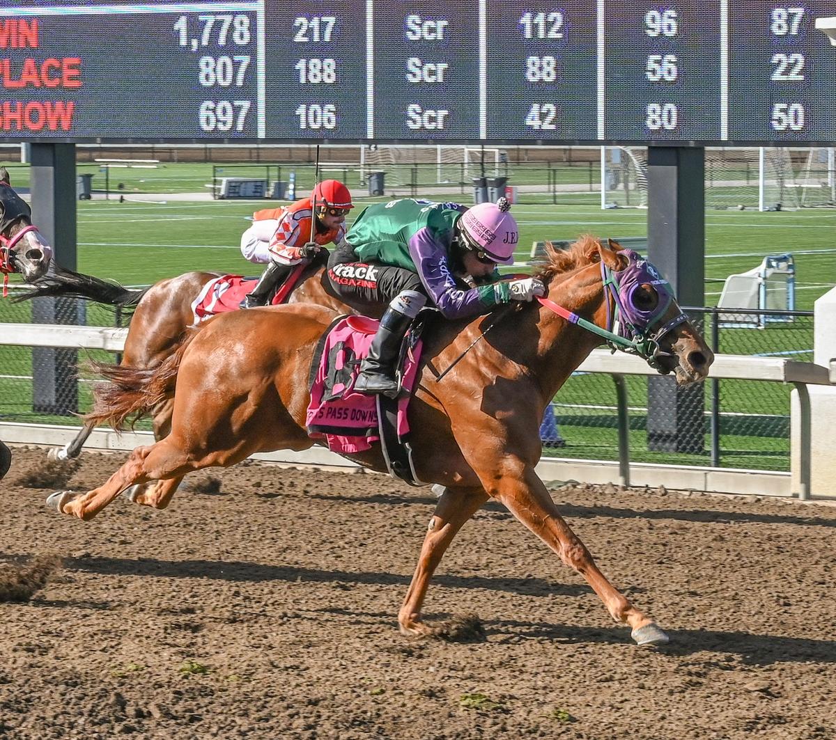 Miss Royal Hawk Tops Far West Futurity Trials at Grants Pass