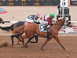 Jockey Christian Cardenas aboard Preying N Sinning (#5) won the $ 50,000-guaranteed West Texas Juvenile on Saturday at Sunland Park Racetrack & Casino.