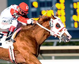 Leading Sire Kiss My Hocks won the Sam Houston Futurity(G2) in 2014 and set a new track record.
