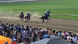 Ajax Downs