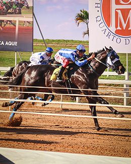 Winchester Cartel winning the 2026 Megarace.