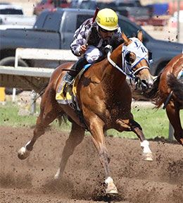 Multiple Grade 1 winner FDD Dreams finished second in his trial to Kj Born To Be Wild on Wednesday at The Downs.