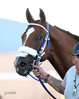 King Of The Tide, winner of the 2025 $3,000,000 Grade 1 the All American Futurity.