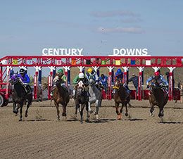 Century Downs Racetrack & Casino introduces night racing, starting April 2, 2025, coinciding the track's 10th anniversary celebration.