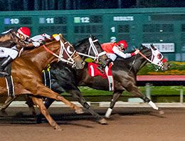 Hooked N Gone, under jockey Justine Klaiber, winning the Z Wayne Griffin Director's trial-Div. 2.