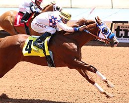 Famous N Relentless, under jockey Ramiro Garcia, remains undefeated after winning trial 3 on Friday.