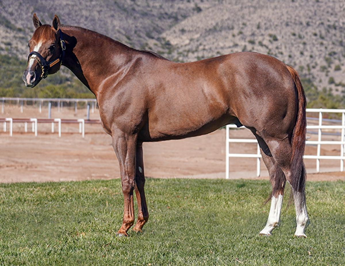 Photo of Apollitical J Legacy
