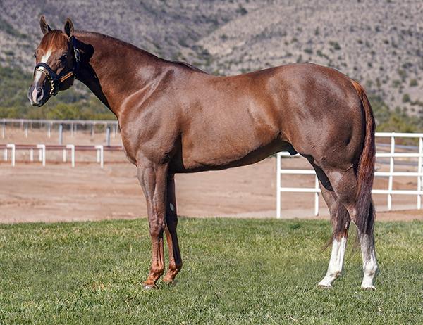 Photo of Apollitical J Legacy