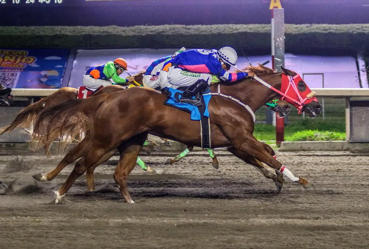 Peligrosita Eagle Rallies To Win Futurity Desafío Crianza Mexicana In Photo Finish