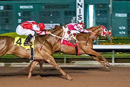 Los Alamitos