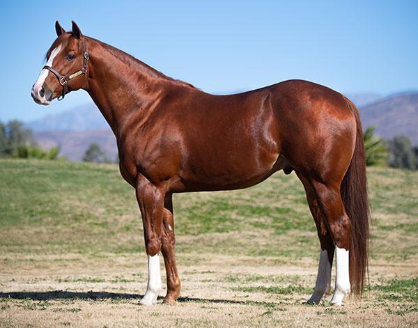 Photo of Apollitical J Streak