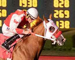 Los Alamitos