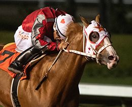 Los Alamitos