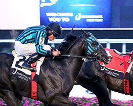 This Is The One under jockey Luz Martinez, won the closing trial.