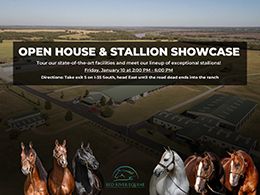Red River Equine