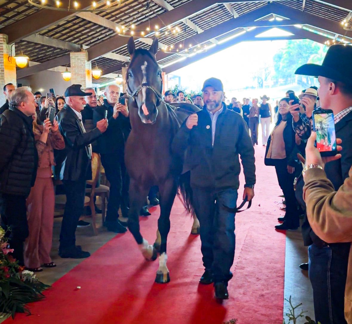 An incredible moment: Coronado Cartel paraded through the crowd, led by Bee Silva, complete with a red carpet for their entrance onto the stage.