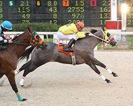 Rdd Lajollanfastdash winning the 2016 Lee Berwick Futurity.