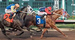 HI High Hopes, under jockey Ramon Sanchez, breaks his maiden at Los Alamitos Race Course.