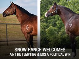 Snow Ranch