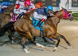 Pk Pure Rogue winning the Miss Polly Classic at Delta Downs.