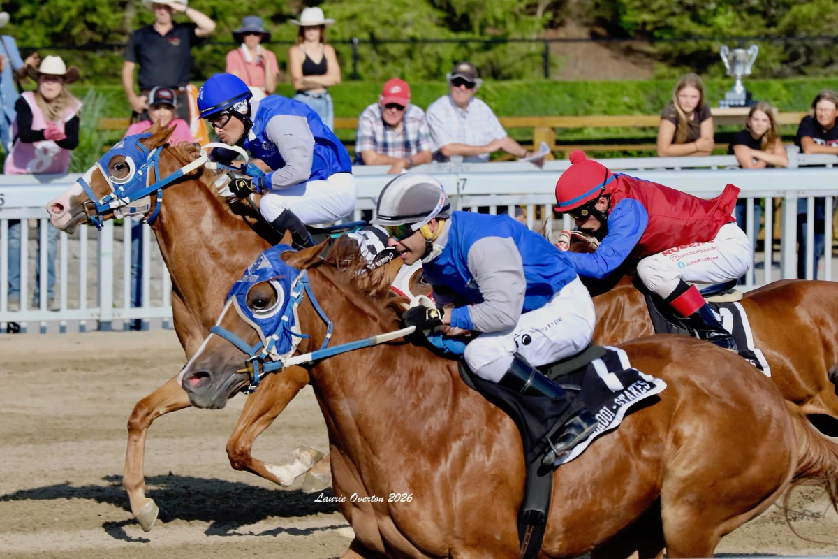 carousel image 1 of 7