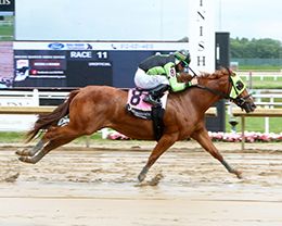 Tw A Political Beach won his trial heat with the second fastest time.