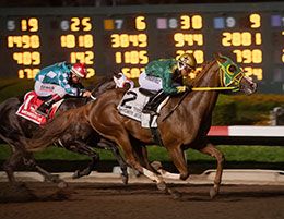 Fastest qualifier Favorite Jesshawk, under jockey, Ricardo Ramirez, won the $275,000 Governor's Cup Futurity at Los Alamitos Race Course.