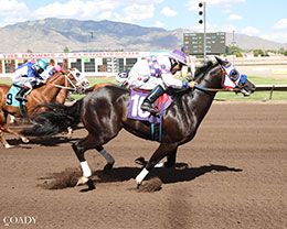 Crash For Kash, under jockey Romiro Garcia, garnered the fifth qualifying time in trial #11.