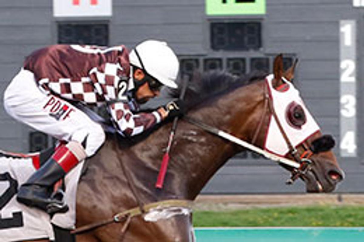 HorseWinPix