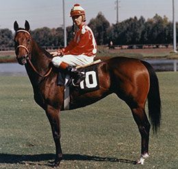 Los Alamitos Race Course