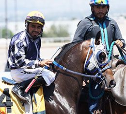 Ernesto Salinas, Jr.  / StallioneSearch