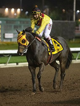 Norco, under jockey Gabriel Lara, returns after winning the 2025 Los Alamitos Super Derby.