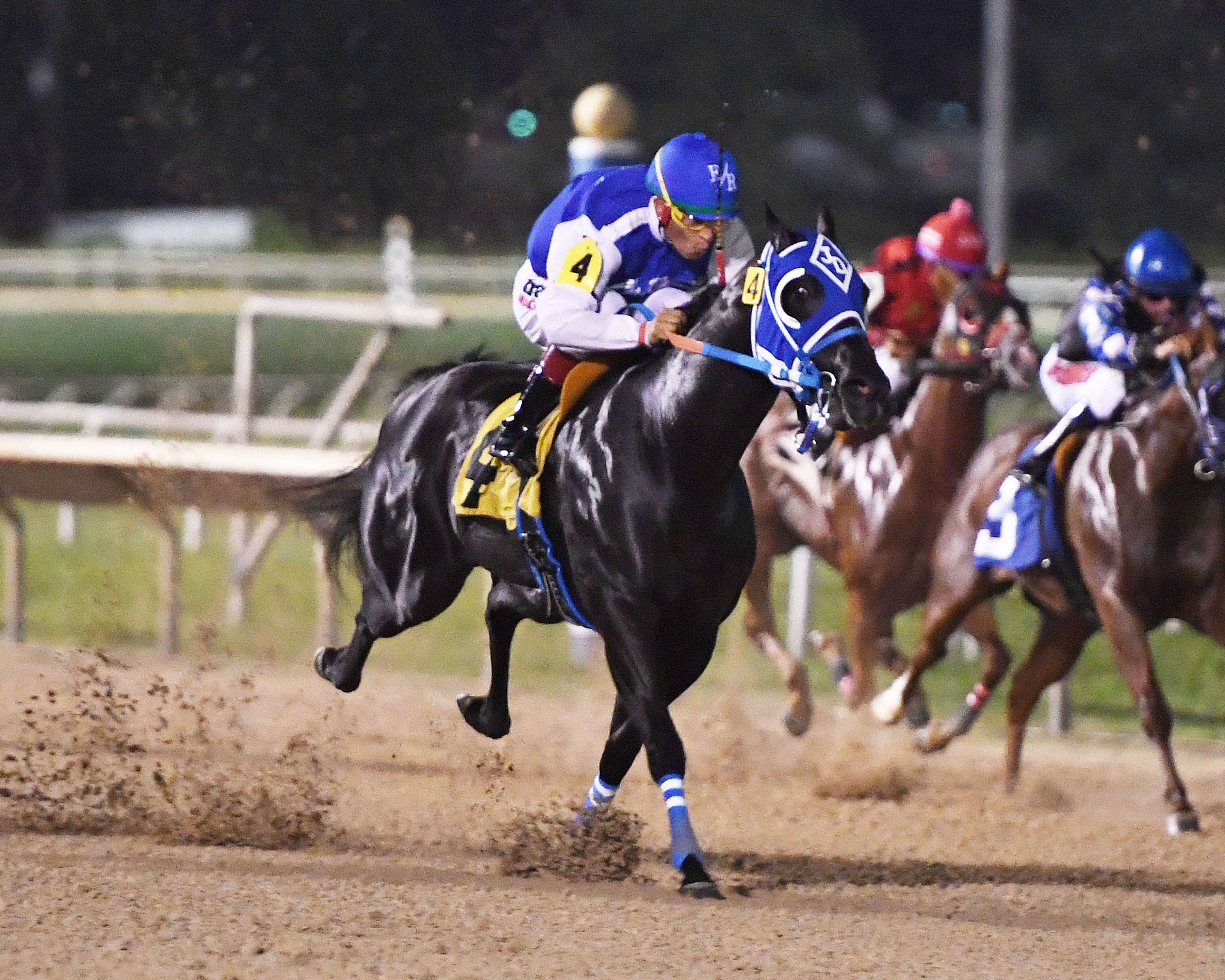 The Sundaz Kid's dam, Sheza Freightrain T, is a multiple stakes winner of $574,840. 
