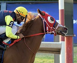 Miguel Espinoza / Hipodromo de las Americas