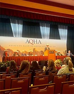 AQHA