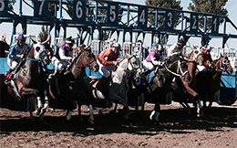 Blackfoot Downs