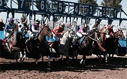 M E Candy Cartel Elevated To Idaho Bred Futurity Victory
