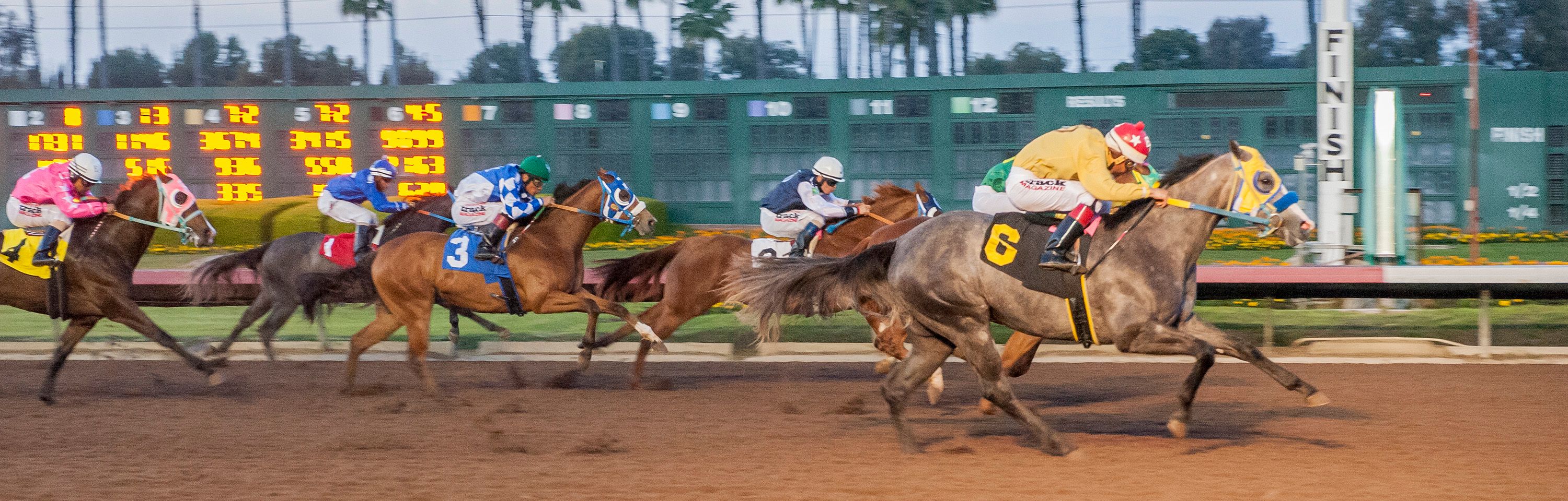 PCQHRA BREEDERS FUTURITY FINALISTS NOT YET OFFICIAL