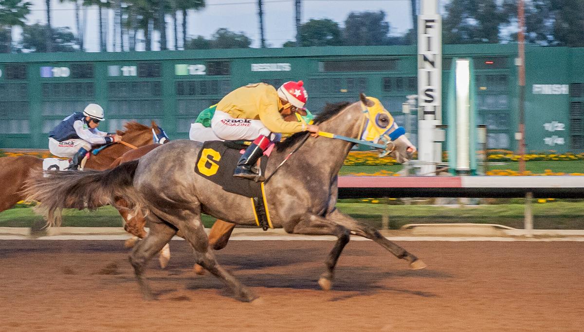PCQHRA BREEDERS FUTURITY FINALISTS NOT YET OFFICIAL