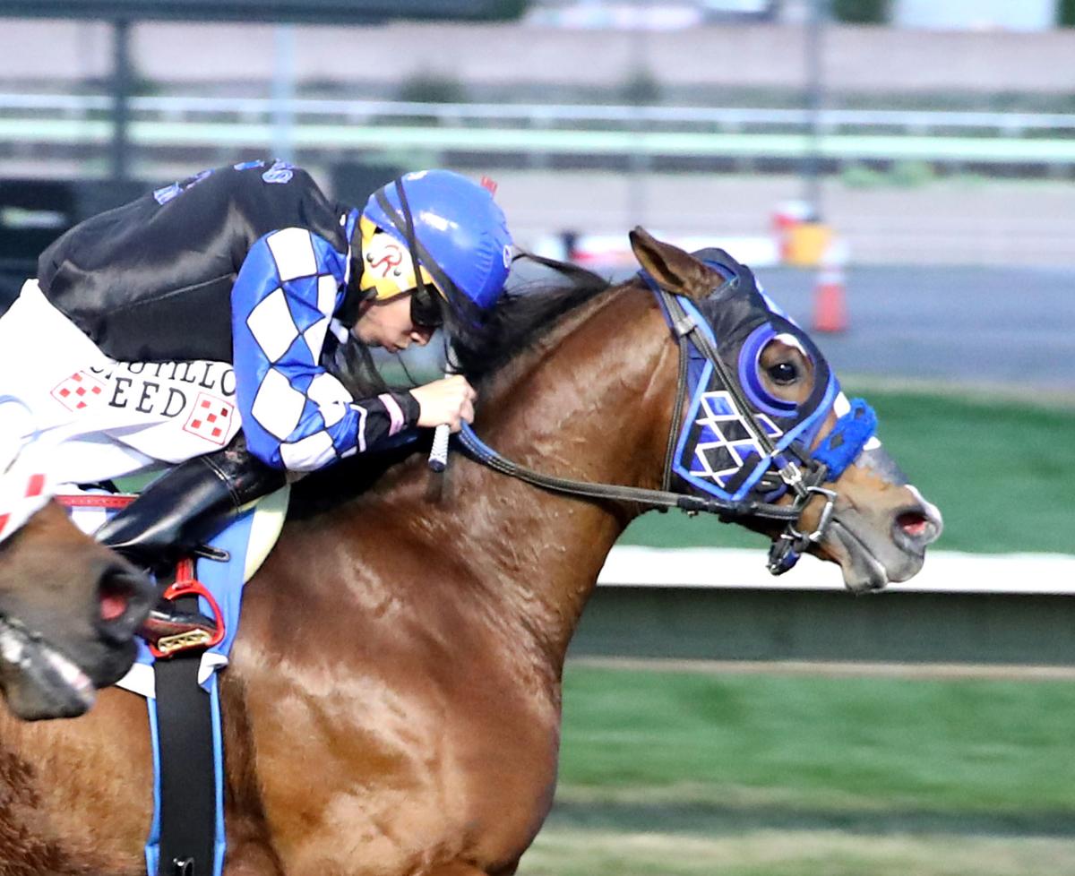 AJ FLAWLESS, SILVER BAC HEAD $35,000 SOUND DASH HANDICAP AT LOS ALAMITOS