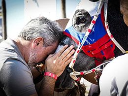 Breeder and owner Francisco Sampaio thanks his mare after the victory.