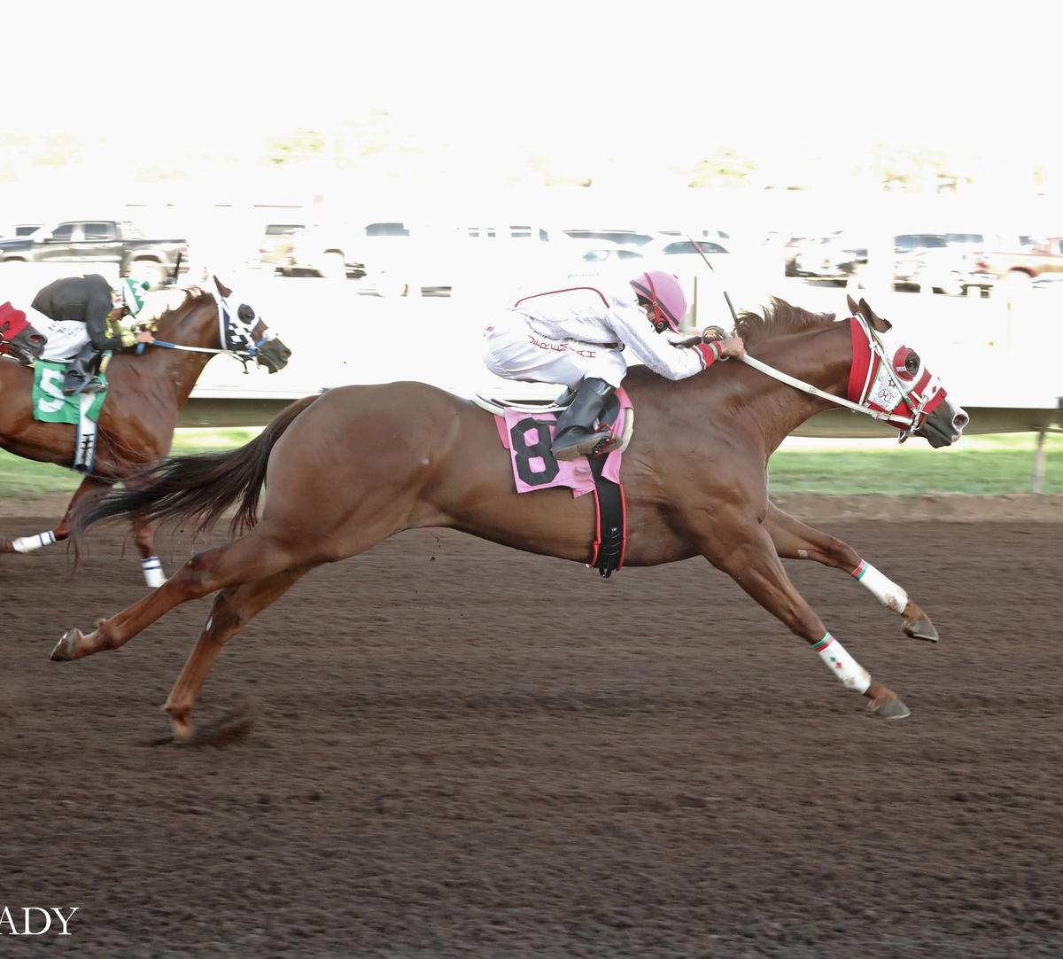 Paradise Pete Captures Grade 1 $250,000 All American Gold Cup