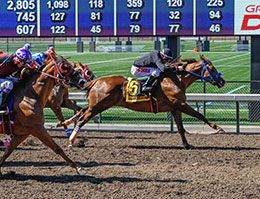 Lee Five T, under jockey Salvador Ibarra, winning the Firecracker Futurity Consolation at Grants Pass Downs.