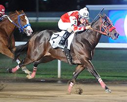 The Fiscal Cliff winning the Grade 1 AQHA Challenge Championship.