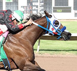 Los Alamitos
